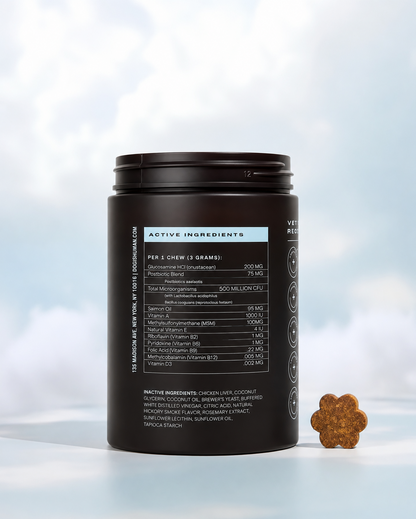 DM-01 Daily Multivitamin, Multivitamin Itch Relief Chews for Dog, with Folic Acid, Salmon Oil, Chondroitin & Natural Vitamins, Skin and Coat Healthy, Digestive & Boost Immunity, 60 Chew (Beef,Chicken))