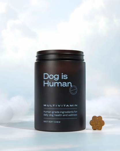 DM-01 Daily Multivitamin, Multivitamin Itch Relief Chews for Dog, with Folic Acid, Salmon Oil, Chondroitin & Natural Vitamins, Skin and Coat Healthy, Digestive & Boost Immunity, 60 Chew (Beef,Chicken))