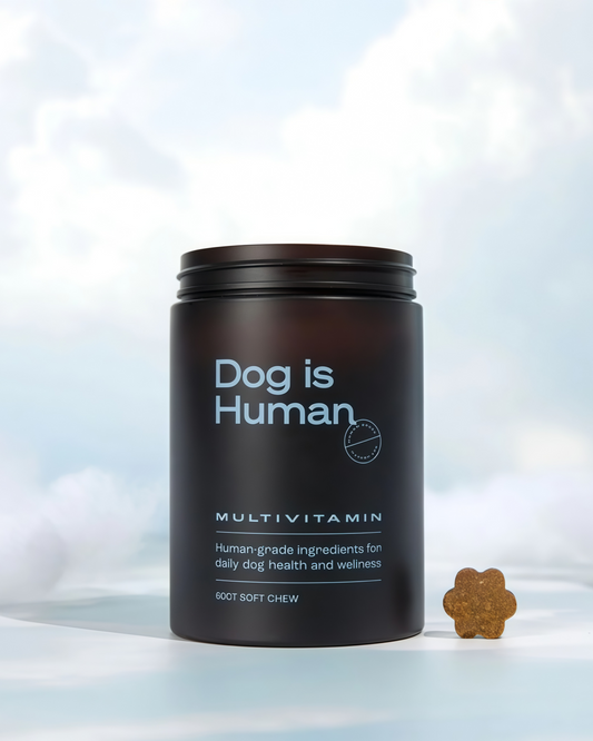 DM-01 Daily Multivitamin, Multivitamin Itch Relief Chews for Dog, with Folic Acid, Salmon Oil, Chondroitin & Natural Vitamins, Skin and Coat Healthy, Digestive & Boost Immunity, 60 Chew (Beef,Chicken))
